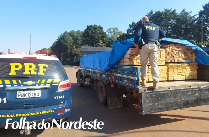 PRF apreende caminhão carregado com madeira de árvore em risco de extinção