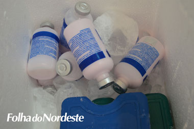 Segunda etapa da vacinação contra a Febre Aftosa inicia na próxima semana