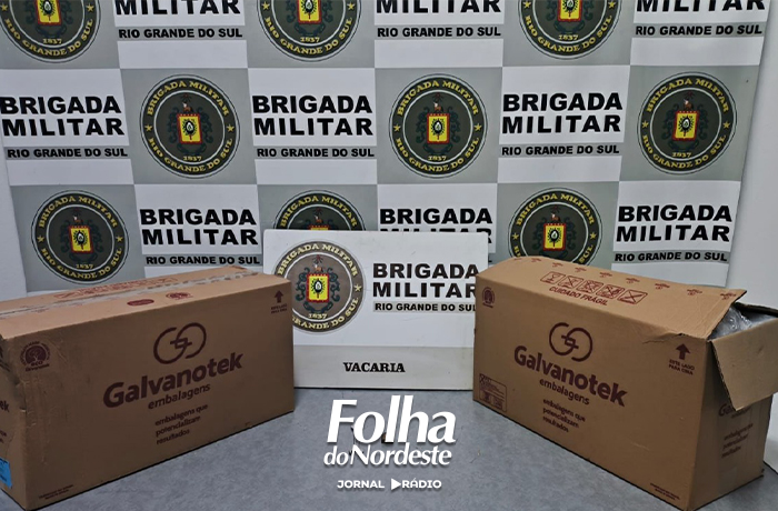 Brigada Militar prende homem em flagrante por furto qualificado em Vacaria